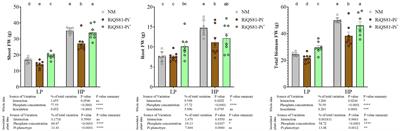 Short-term artificial adaptation of Rhizoglomus irregulare to high phosphate levels and its implications for fungal-plant interactions: phenotypic and transcriptomic insights